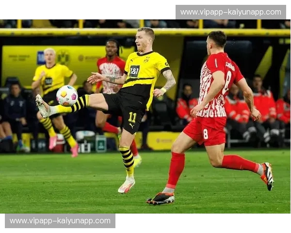 德甲巅峰对决，欧冠赛场风云再起：拜仁与多特的宿命恩怨