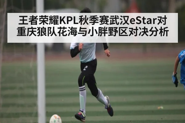 王者荣耀KPL秋季赛武汉eStar对重庆狼队花海与小胖野区对决分析